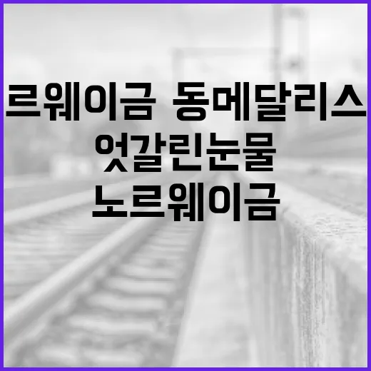노르웨이 금·동메달리스트의 엇갈린 눈물 이야기 - 요약