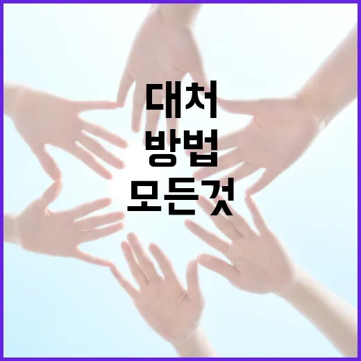 김어준 엠바고에 대한 모든 것: 이해하고 대처하는 방법 - 요약