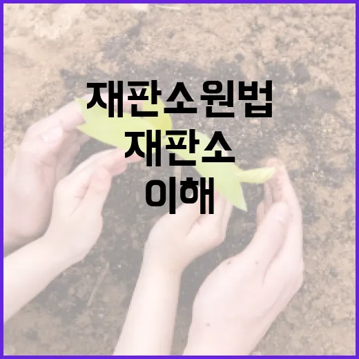 재판소원법의 의미와 이해를 위한 가이드 - 요약