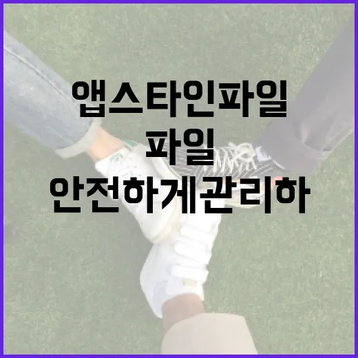 앱스타인 파일을 안전하게 관리하는 방법 - 요약