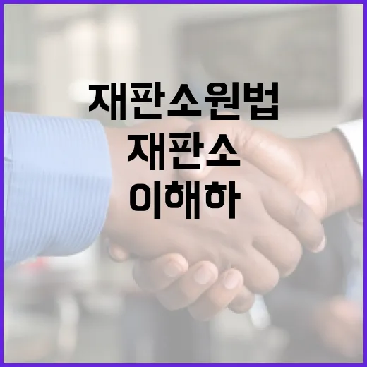 재판소원법의 의미와 이해하는 방법 - 요약