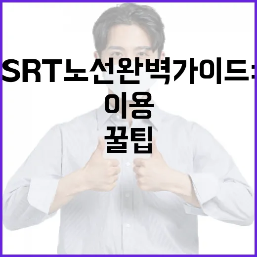 SRT 노선 완벽 가이드: 이용 방법과 꿀팁 - 요약