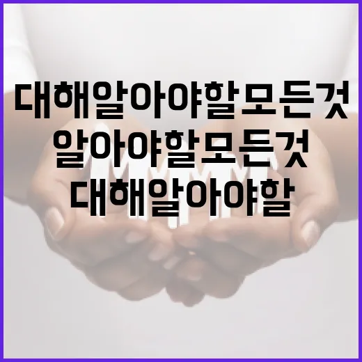 송영길에 대해 알아야 할 모든 것: 그의 경력과 업적 - 요약