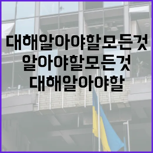 송영길에 대해 알아야 할 모든 것: 그의 경력과 업적 - 요약