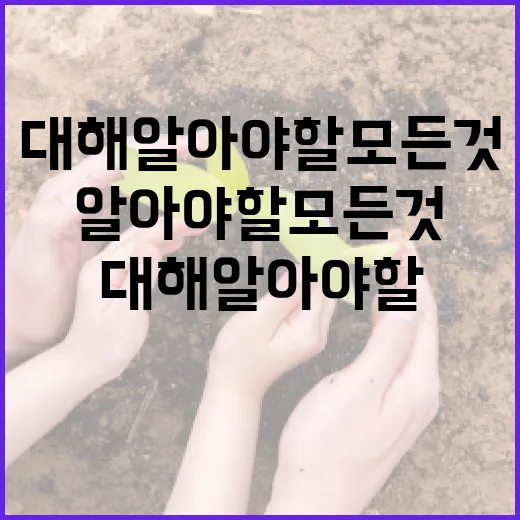 송영길에 대해 알아야 할 모든 것: 그의 경력과 업적 - 요약