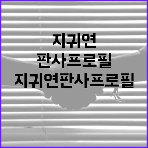 지귀연판사 프로필을 완벽히 이해하는 방법