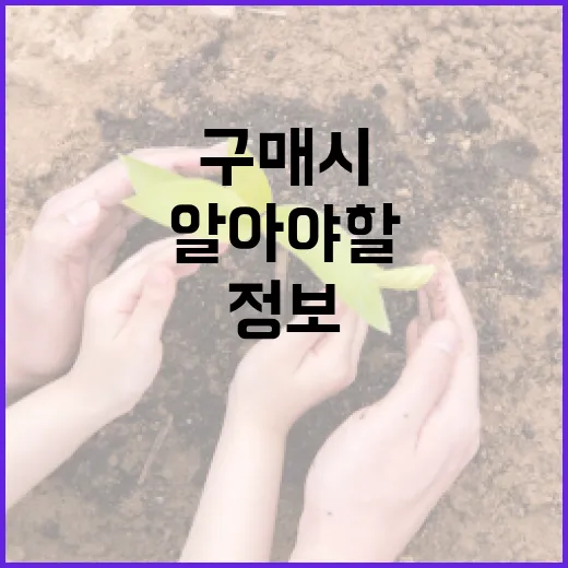 옥자연 아파트 구매 시 알아야 할 필수 정보 - 요약