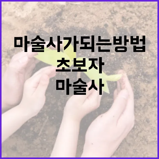 초보자를 위한 50만 마술사가 되는 방법 - 요약