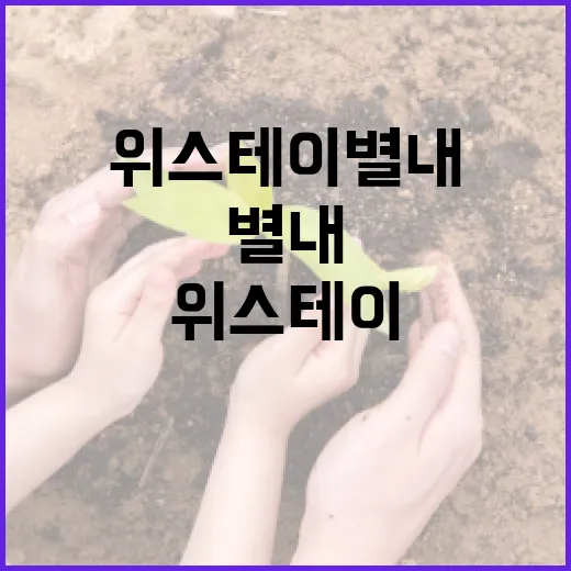 위스테이 별내에서 행복한 생활을 시작하는 방법 - 요약