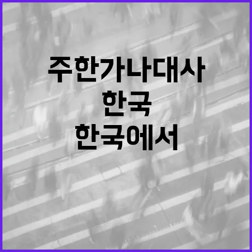주한가나대사에 대해 알아보고 한국에서의 역할 이해하기 - 요약