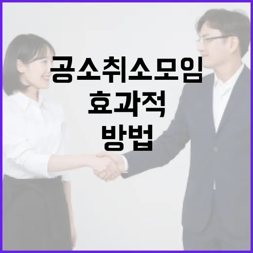 공소취소모임을 효과적으로 조직하는 방법 - 요약