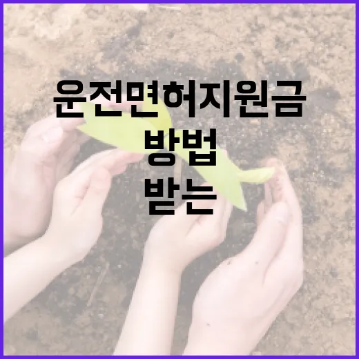 운전면허 지원금을 받는 방법 - 요약