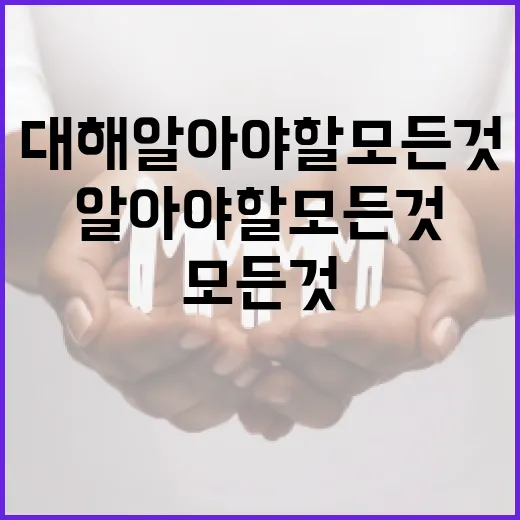 노영대에 대해 알아야 할 모든 것 - 요약