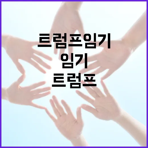 트럼프 임기의 주요 사건과 교훈을 이해하는 방법 - 요약