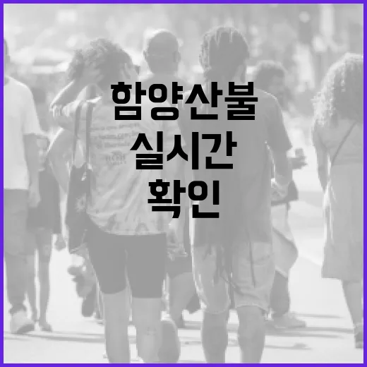 실시간 함양 산불 정보를 확인하는 방법 - 요약