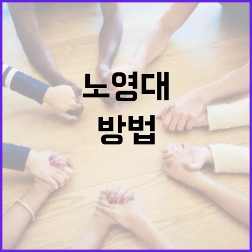 노영대를 이해하고 활용하는 방법 - 요약