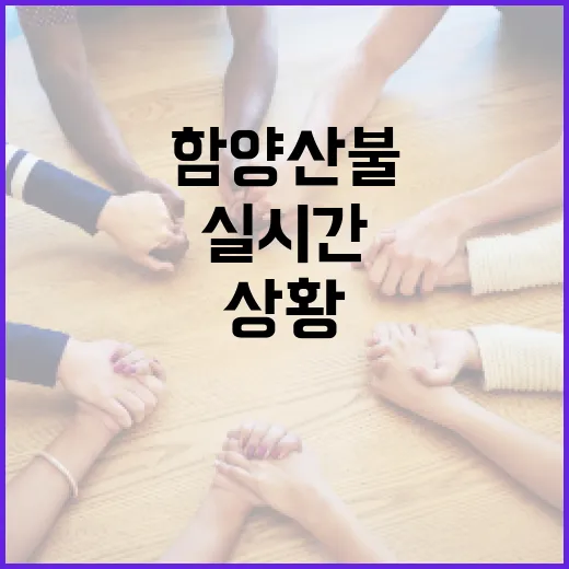 실시간 함양 산불 상황을 확인하는 방법과 대비 요령 - 요약