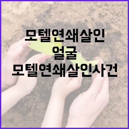 모텔 연쇄살인 사건의 얼굴을 밝히는 방법 - 요약