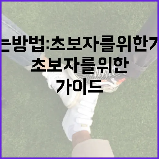 오시후를 즐기는 방법: 초보자를 위한 가이드 - 요약