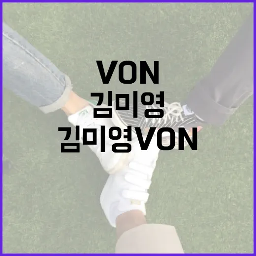 김미영 Von을 이해하고 활용하는 방법 - 요약