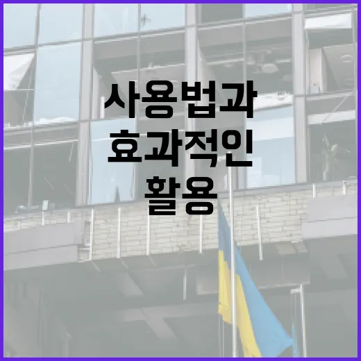 오시후를 활용하는 방법: 효과적인 사용법과 팁 - 요약