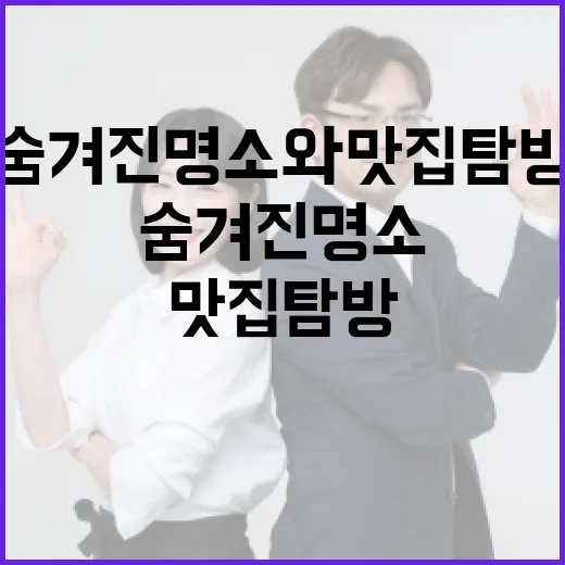 포항 오시후를 만끽하는 방법: 숨겨진 명소와 맛집 탐방 - 요약