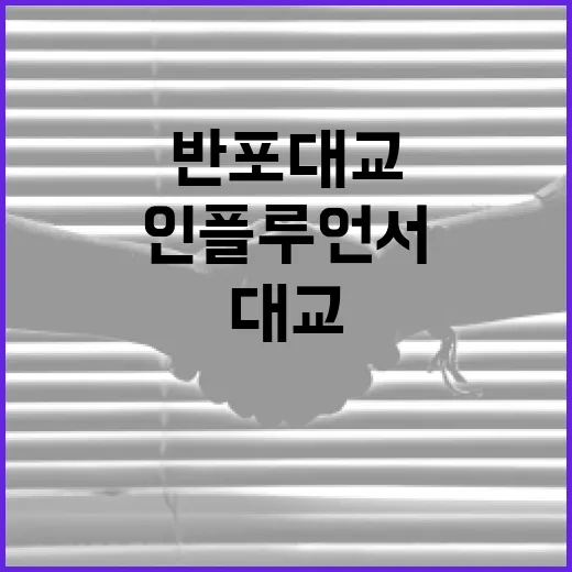 반포대교에서 인플루언서처럼 사진 찍는 방법 - 요약