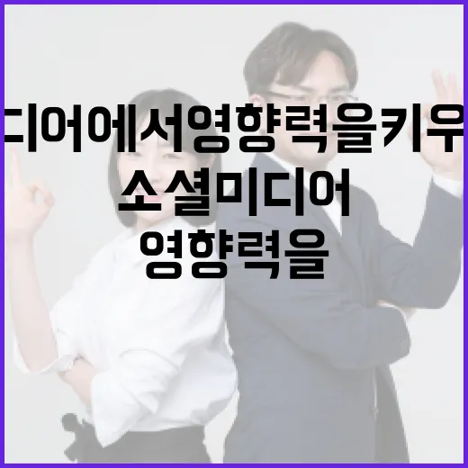 김미영처럼 소셜 미디어에서 영향력을 키우는 방법 - 요약