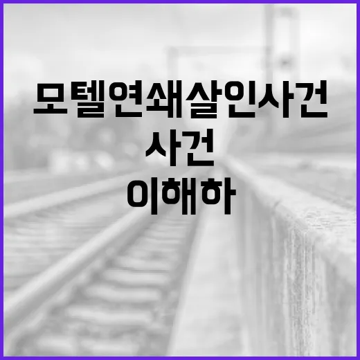 모텔 연쇄살인 사건을 이해하는 방법 - 요약