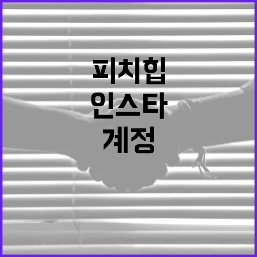 피치힙 인스타그램 계정을 매력적으로 운영하는 방법 - 요약