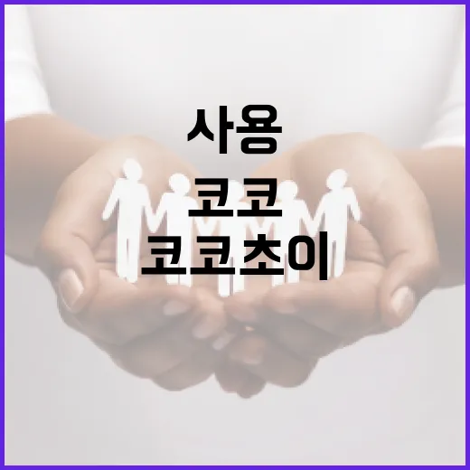 코코초이를 효과적으로 사용하는 방법 - 요약