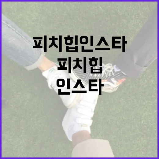 피치힙 인스타에서 인기 끌기 위한 방법 - 요약