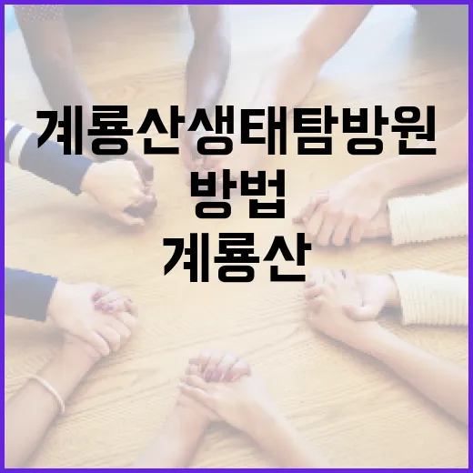 여수 라슬기를 즐기는 방법 - 요약