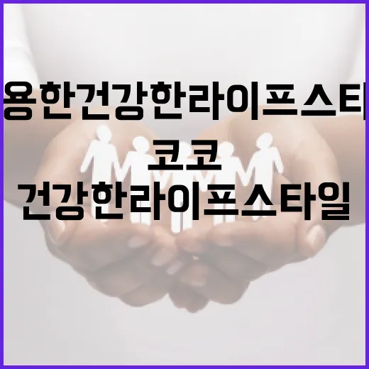 코코초이를 활용한 건강한 라이프스타일 유지 방법 - 요약