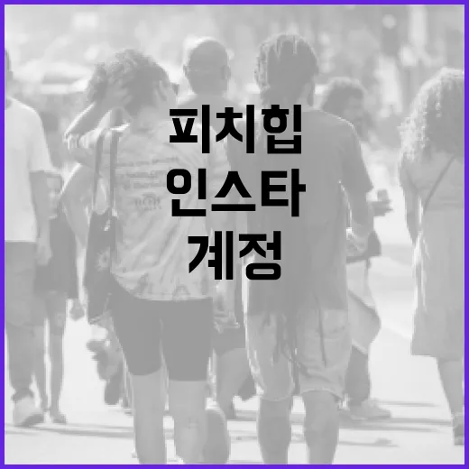 피치힙 인스타그램 계정을 매력적으로 운영하는 방법 - 요약