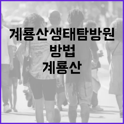 계룡산 생태탐방원을 탐방하는 방법 - 요약