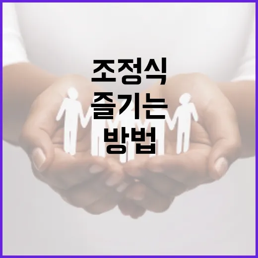 조정식을 제대로 즐기는 방법 - 요약