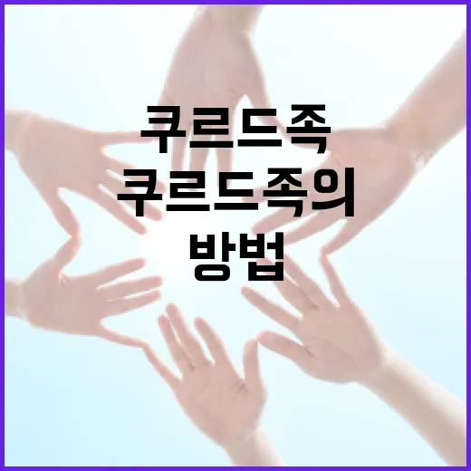 쿠르드족의 문화를 이해하는 방법 - 요약