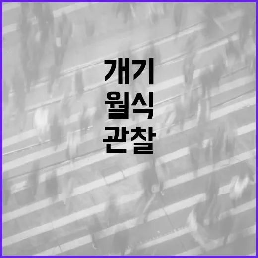 오늘 개기일식과 월식을 관찰하는 방법 - 요약
