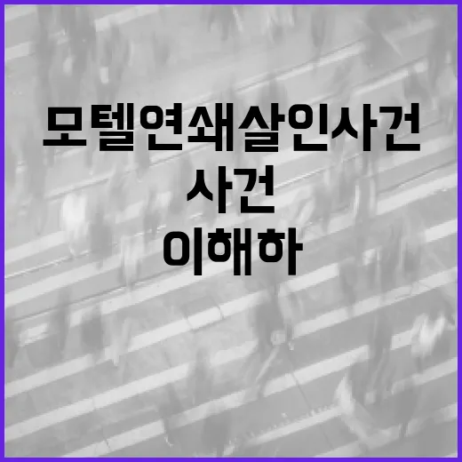 모텔 연쇄살인 사건을 이해하는 방법 - 요약