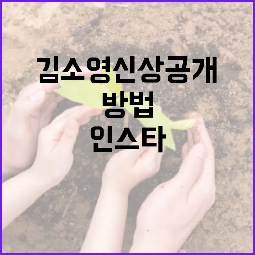 김소영 신상공개와 인스타그램 활용 방법 - 요약