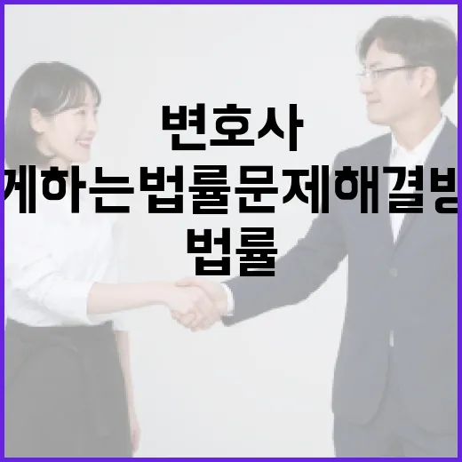 김형민 변호사와 함께 하는 법률 문제 해결 방법 - 요약