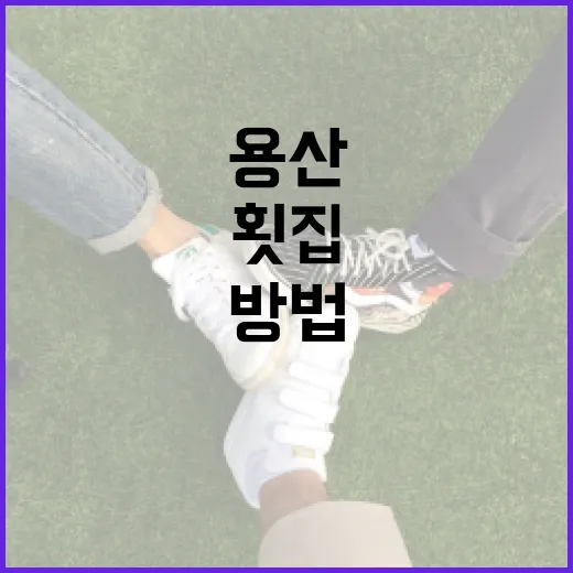 용산에서 최고의 락스 횟집을 찾는 방법 - 요약