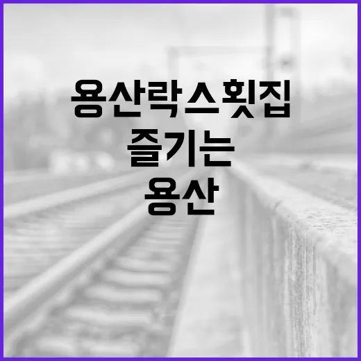 용산 락스 횟집에서 최고의 회를 즐기는 방법 - 요약