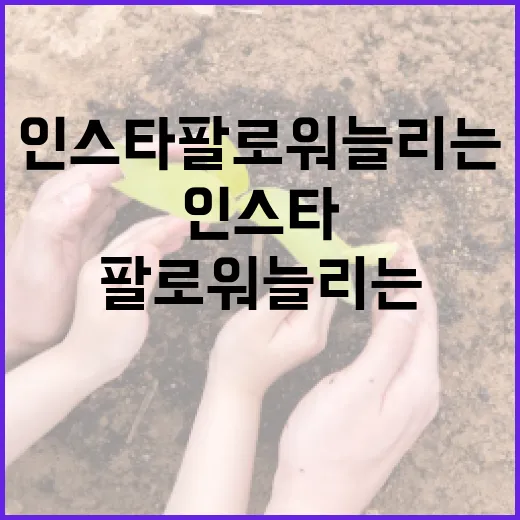 김소영 인스타 팔로워 늘리는 방법 - 요약