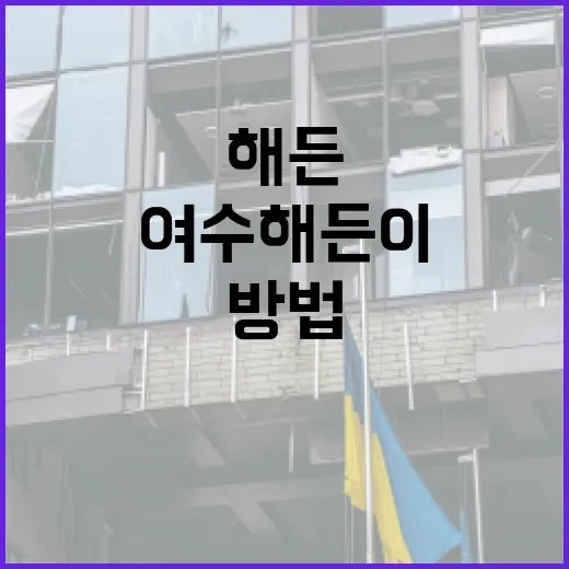 여수 해든이를 즐기는 방법 - 요약