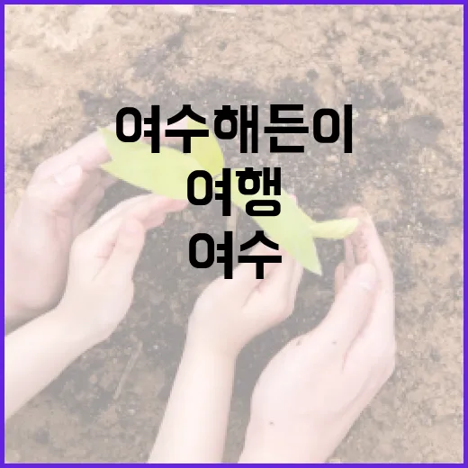여수 해든이 인스타그램으로 여행 매력 알아보기 - 요약