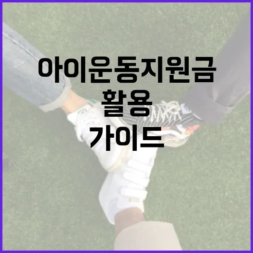 아이운동지원금을 활용하는 방법: 부모님을 위한 가이드 - 요약