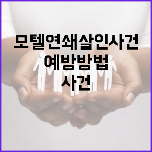 모텔 연쇄살인 사건의 이해와 예방 방법 - 요약