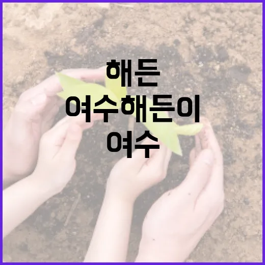 여수 해든이를 즐기는 방법: 완벽한 여행 가이드 - 요약